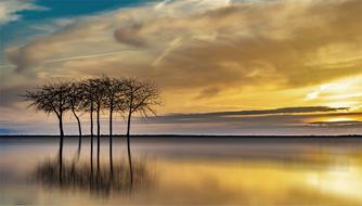 Sunset Dawn Nature lake tree