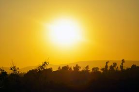 yellow Sunset Dawn Nature
