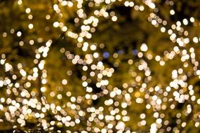 Lights Bright
