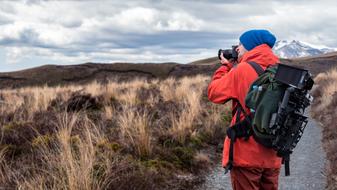 Person photographing beautiful landscape with the yellow fields