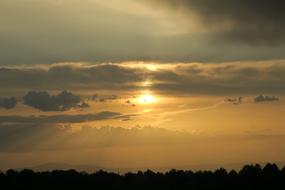 Beautiful landscape with the trees, at colorful sunset in the white clouds
