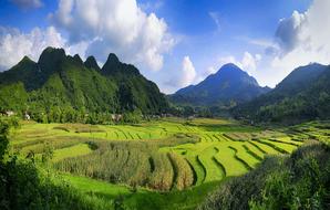 Vietnam Canh Dep green