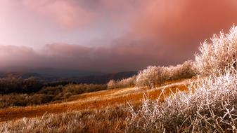 Serbia Panorama Frost trees