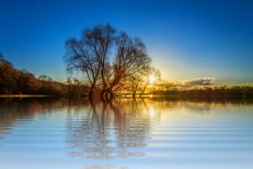 Beautiful landscape with the lake, among the trees, at colorful sunset in the evening sky