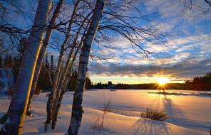 Beautiful landscape of the snowy field, among the plants, in Quebec, Canada, at beautiful and colorful sunset, in the winter