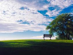 Sunset Dusk Bench Public trees