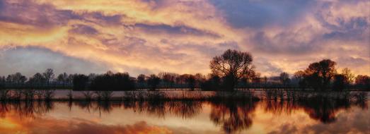tree reflected in calm water at dawn