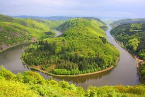 Waters River and green forest