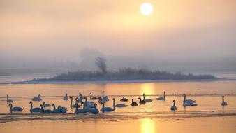 landscape of Sunset Lake Waters