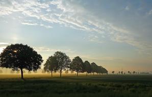 Sunrise over the trees in the field