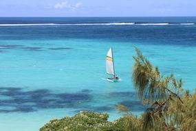 Sailing Boat on sea Coast