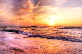 Sun pink red Summer
