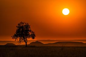 Landscape Sun red and tree