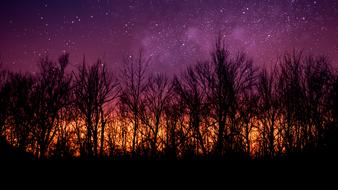evening colorful sunset over trees