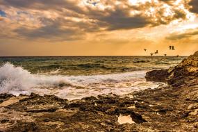 Sunset Rocky Coast birds