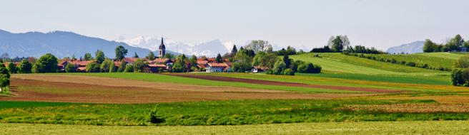 Panorama Nature Tree green