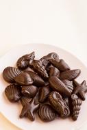 seashells shaped chocolates on plate