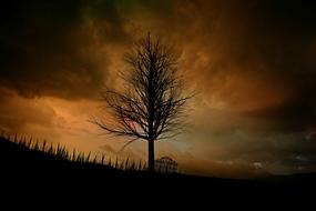 Lonely tree in mystical landscape at dusk