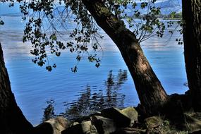 reflection of trees in the blue water of the lake