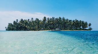 distant view of a small island with palm trees on a sunny day