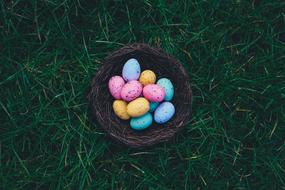 Eggs Easter colors green grass