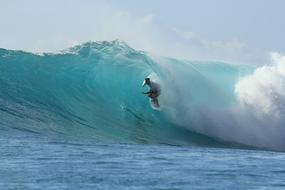 surfer caught a wave on the shore of the tropical ocean