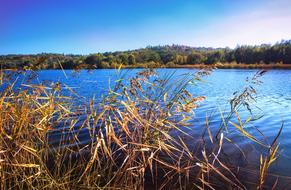 Beautiful landscape with the yellow grass and green trees on the shores, in autumn