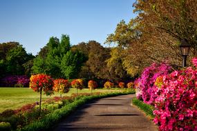 Bellingrath Gardens at autumn, usa, Alabama