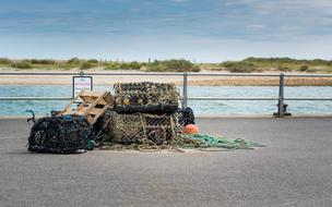 Lobster Fishing