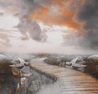 landscape magnificent sky light