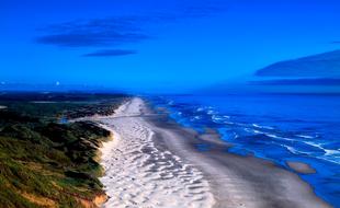 Oregon Sand Dunes