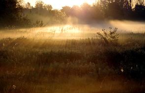 landscape of The Fog Sunrise Rays