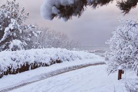 Winter Snow road landscape