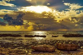 Sunset Sea Beach gold