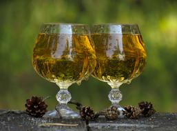 champagne in bakalas