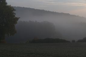 rural Landscape, Foggy autumn