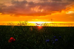 West Summer Meadow sunset