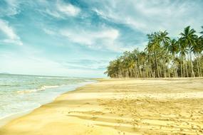 Beautiful sandy beach, with the colorful palm trees, under the blue sky with clouds