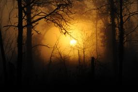 Beautiful landscape with the silhouettes of the woods, at colorful sunset in the sky, in autumn