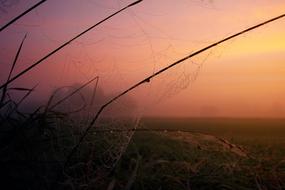 magnificent red Sunset Fog