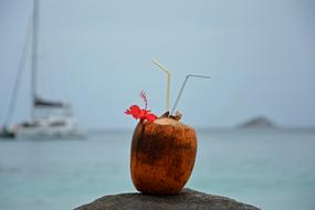 Coconut drink on Seychelles Sea beach