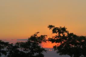 Beautiful landscape, with the silhouettes of the trees and colorful and beautiful sunset, among the clouds