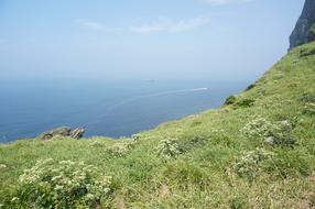 blue Sea Water green grass