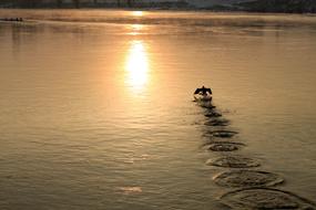 landscape of Bird on River Water