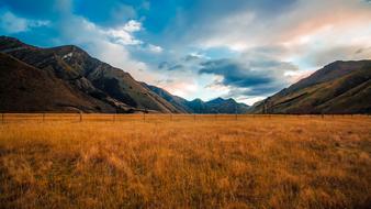 panorama of brown field in the background of mountains in New Zealand