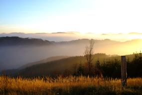 Landscape of foggy Autumnal Nature