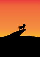 silhouette of a lion on a rock at sunset