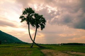 Beautiful landscape with the green palm trees, on the green mountains, in Vietnam, at beautiful and colorful sunset, among the clouds