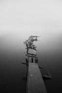black and white photo of the pier in the fog