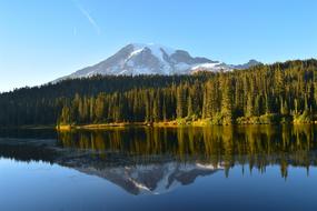 coniferous forest by the lake against the background of the mountain